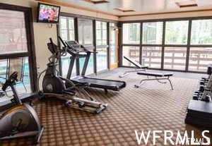 Exercise room with carpet and a healthy amount of sunlight