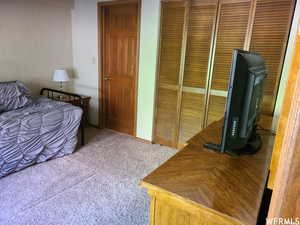 Carpeted bedroom featuring a closet