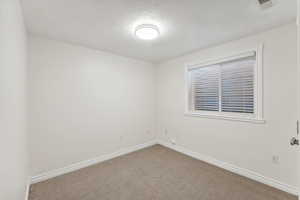 Unfurnished room with carpet floors and a textured ceiling