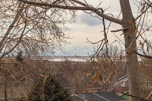 View of local wilderness with a mountain view