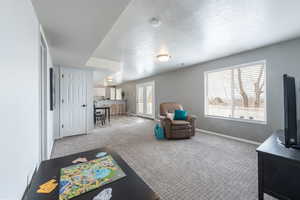 Living room featuring light colored carpet and a textured ceiling