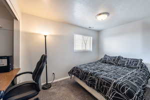 Carpeted bedroom with a textured ceiling