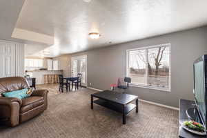 Living room featuring carpet, a textured ceiling, and plenty of natural light