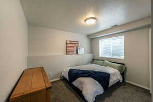 Carpeted bedroom featuring a textured ceiling