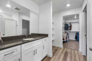 Bathroom featuring wood-type flooring and vanity