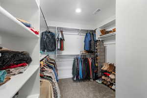 Spacious closet with carpet flooring