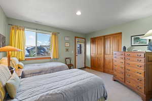 Carpeted bedroom with a closet