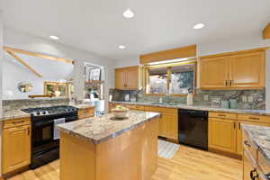 Kitchen featuring tasteful backsplash, sink, black appliances, light hardwood / wood-style flooring, and a kitchen island