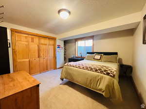 Carpeted bedroom with a closet, a water view, and a textured ceiling