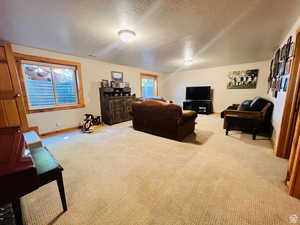 Living room featuring plenty of natural light, a textured ceiling, and light carpet