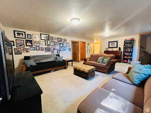 Carpeted living room with a textured ceiling