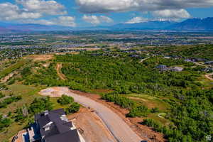 Drone / aerial view with a mountain view