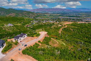 Aerial view with a mountain view