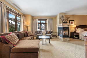 Carpeted living room with plenty of natural light and a tiled fireplace