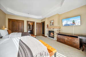 Bedroom with a stone fireplace, light carpet, and a tray ceiling