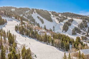 Snowy aerial view featuring a mountain view