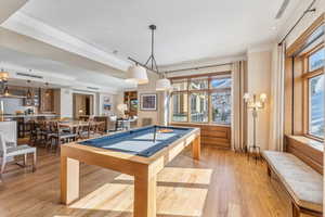 Playroom with a healthy amount of sunlight, light wood-type flooring, and billiards