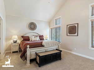 Carpeted bedroom featuring high vaulted ceiling