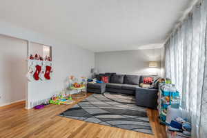 Living room featuring wood-type flooring and a textured ceiling