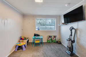 Playroom featuring carpet flooring and ornamental molding