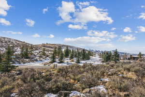 Photo 13 of 6598  PAINTED VALLEY PASS