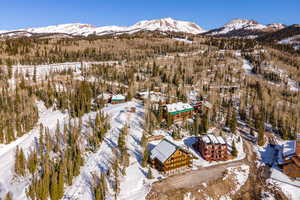 Snowy aerial view featuring a mountain view