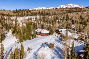 Snowy aerial view featuring a mountain view