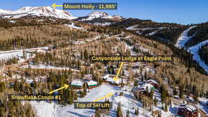 Snowy aerial view featuring a mountain view