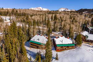 Snowy aerial view with a mountain view