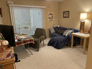 Bedroom with carpet flooring