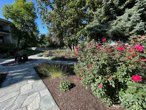 View of yard featuring a patio area