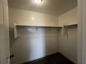 View of spacious closet