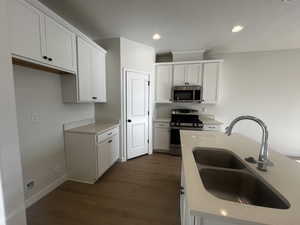 Kitchen with white cabinets, dark hardwood / wood-style flooring, sink, and stainless steel appliances