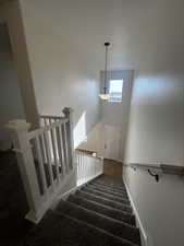 Stairs featuring a high ceiling and carpet floors