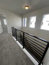 Hall featuring plenty of natural light and carpet