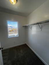 Walk in closet featuring carpet floors and lofted ceiling