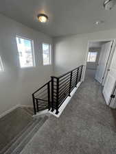 Stairs featuring carpet flooring