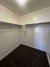 Walk in closet with carpet flooring