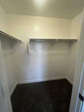 Walk in closet with carpet