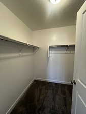 Spacious closet featuring carpet flooring