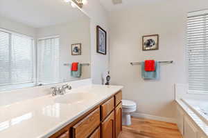 Bathroom with hardwood / wood-style floors, vanity, toilet, and a bathing tub