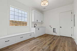 Washroom featuring cabinets, hookup for a washing machine, electric dryer hookup, sink, and light hardwood / wood-style floors