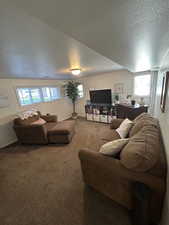 Living room with carpet flooring, a healthy amount of sunlight, and a textured ceiling