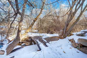 View of snowy landscape