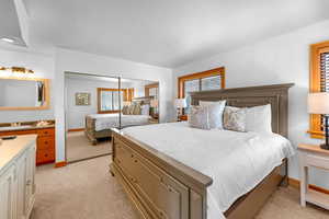 Carpeted bedroom with sink and a closet