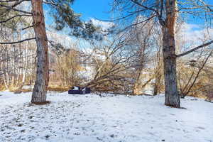 View of snowy yard