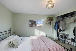 Carpeted bedroom featuring a closet