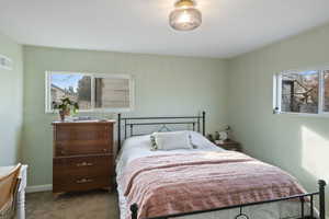 Carpeted bedroom featuring multiple windows