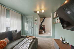 Carpeted living room featuring a wood stove