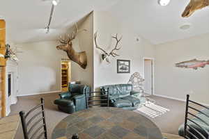 Carpeted living room featuring lofted ceiling